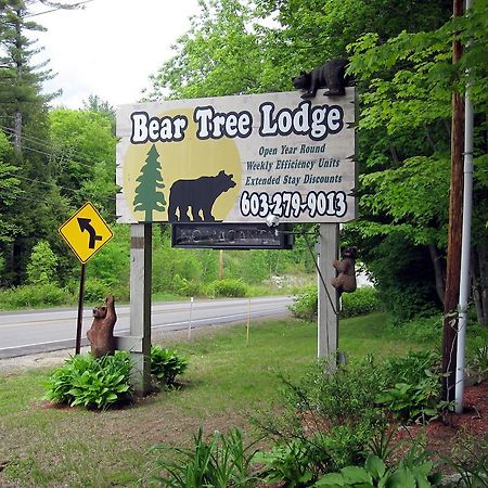 Bear Tree Lodge Meredith Exterior foto